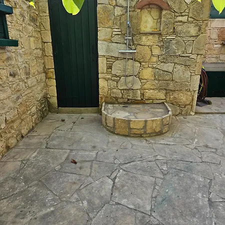 The Fig Tree House *