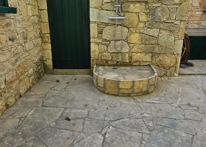 The Fig Tree House *